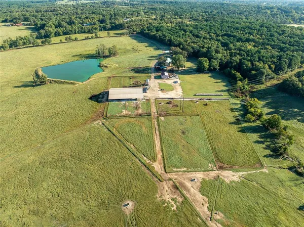 a view of backyard with large trees