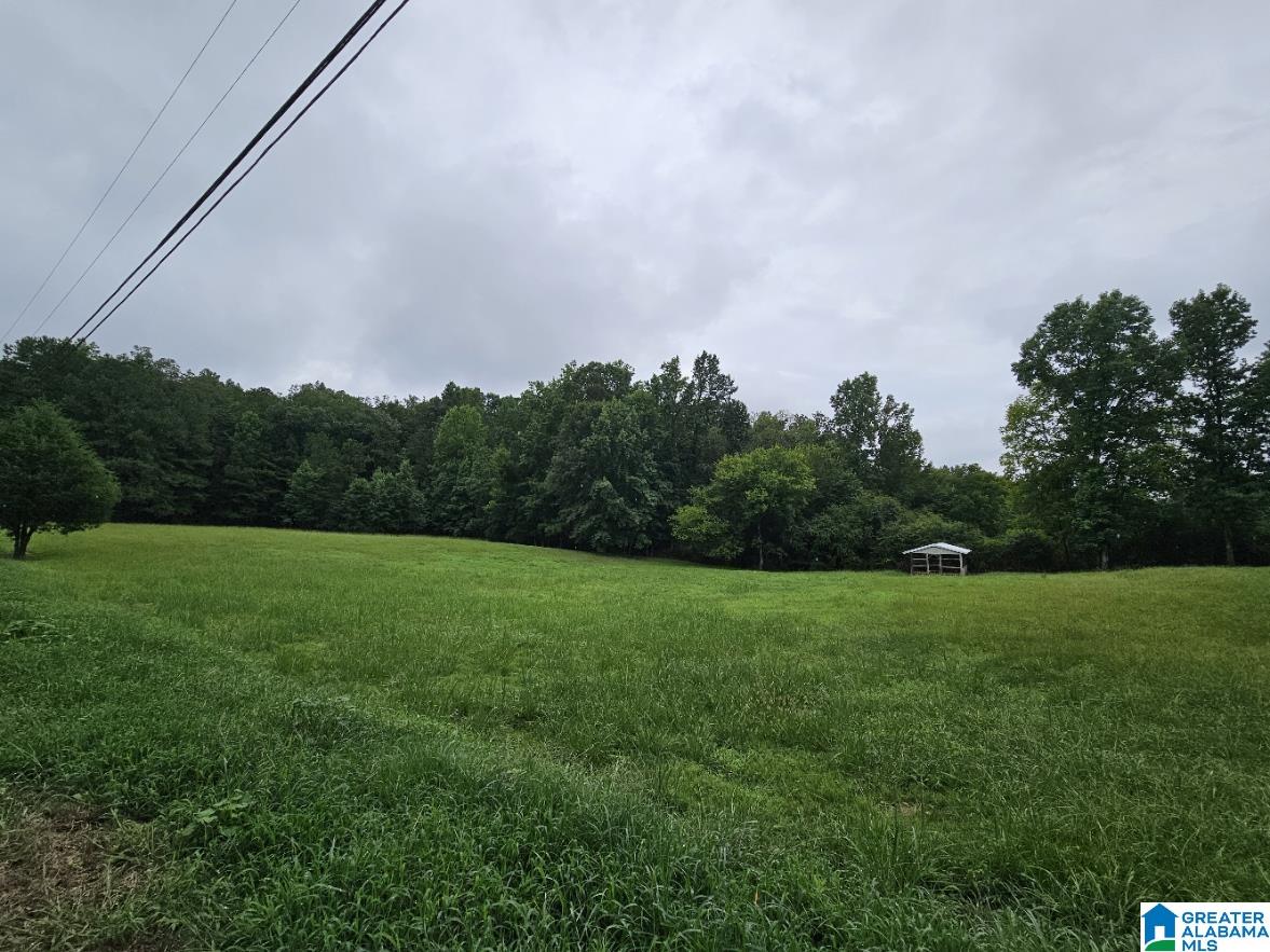 0 James Taylor Road Moody, AL 35004 - Photo 5 of 5
