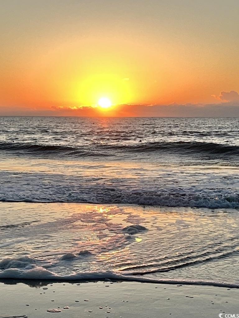 81 Delray Drive, Unit 3B Murrells Inlet, SC 29576 - Photo 39 of 39