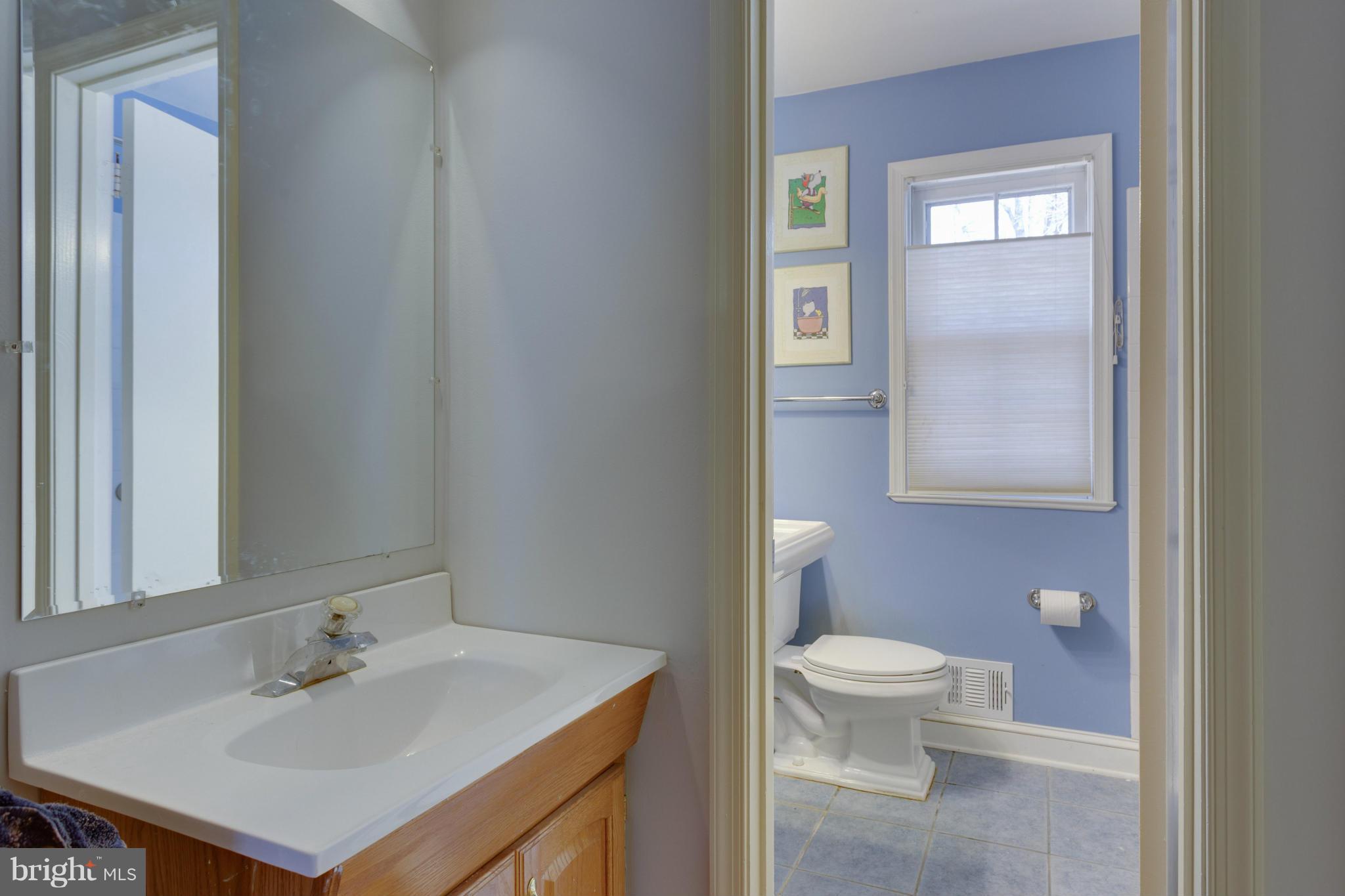8720 Old Courthouse Road Vienna, VA 22182 - Photo 13 of 23 Bath