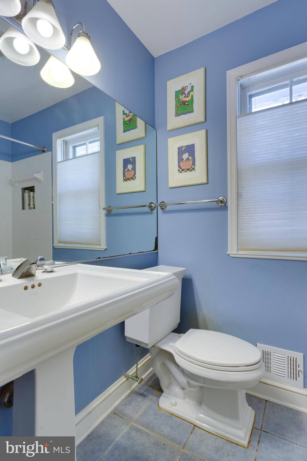 8720 Old Courthouse Road Vienna, VA 22182 - Photo 14 of 23 Bath