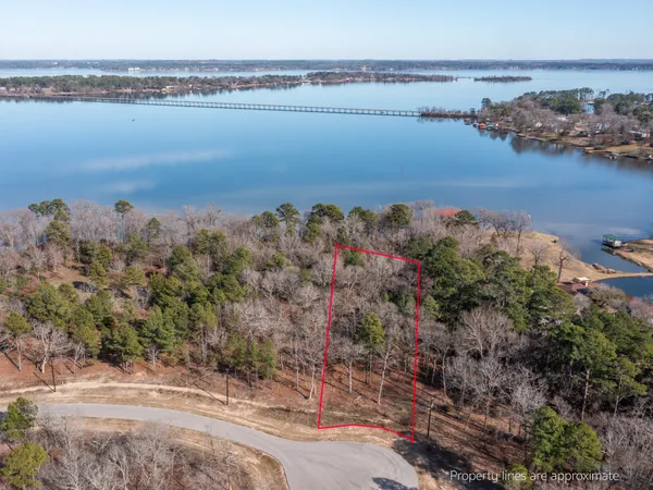 a view of lake and mountain