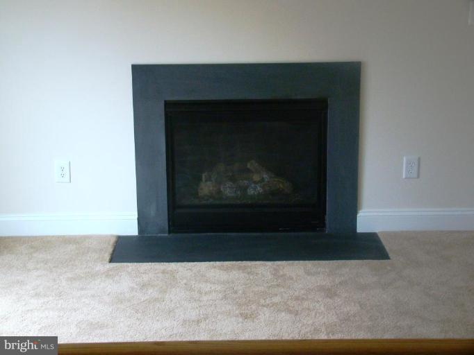 411 Laburnum Road Edgewood, MD 21040 - Photo 5 of 15 Fireplace