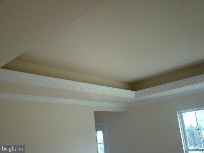 411 Laburnum Road Edgewood, MD 21040 - Photo 8 of 15 Tray Ceiling