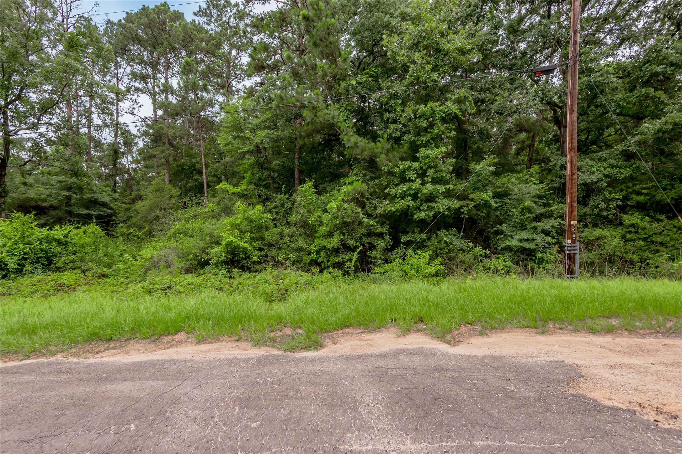 Lot 57 Post Oak Circle Trinity, TX 75862 - Photo 7 of 29