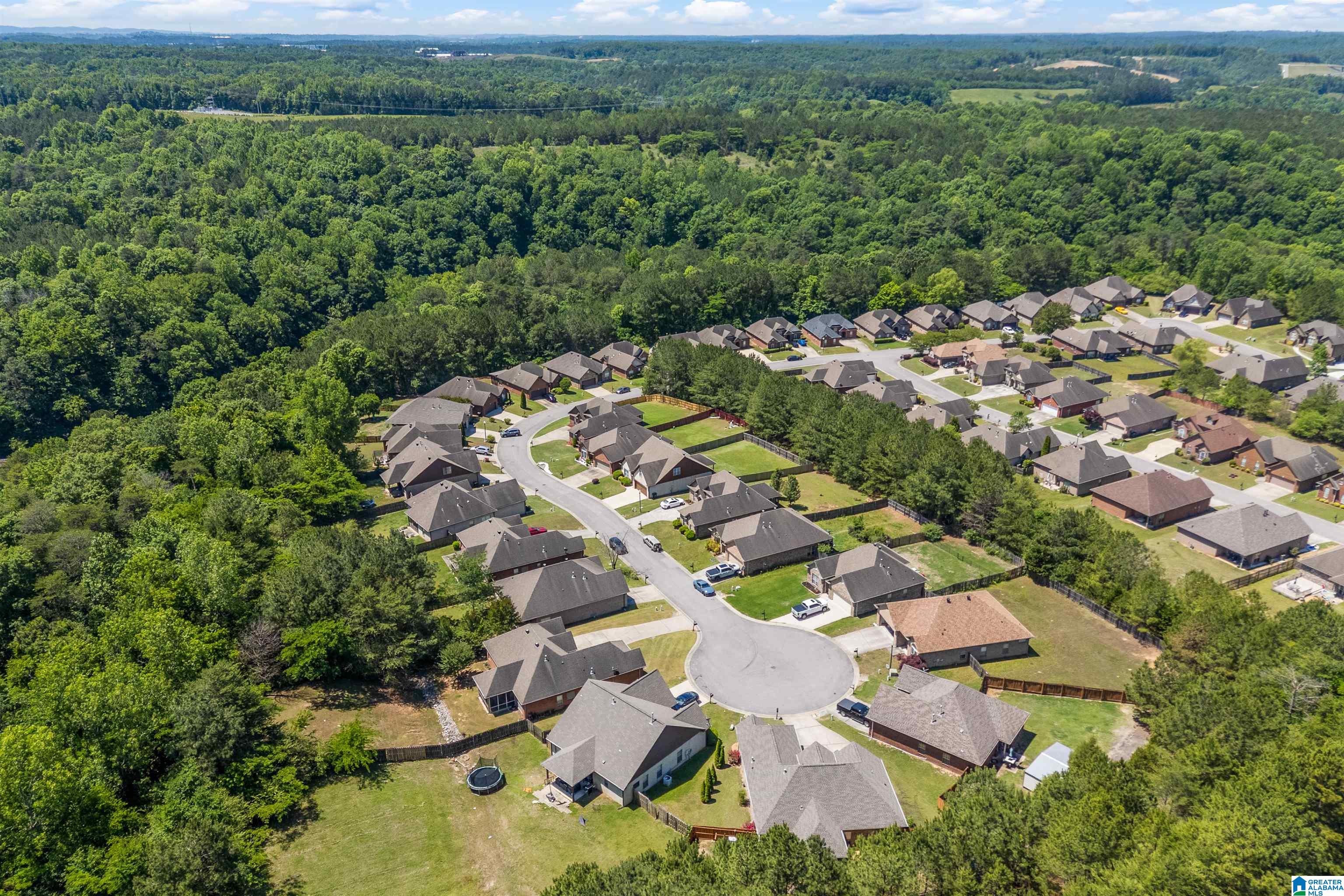 422 Summit Way Fultondale, AL 35068 - Photo 30 of 32