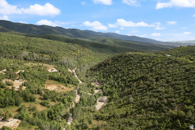 19845 North 14070 (north Fork Rd) Road East, Unit 313 Mount Pleasant, UT 84647 - Photo 33 of 39 View of mountain background with aspens, scrub oak, and pines nestled along the top of the mountains.