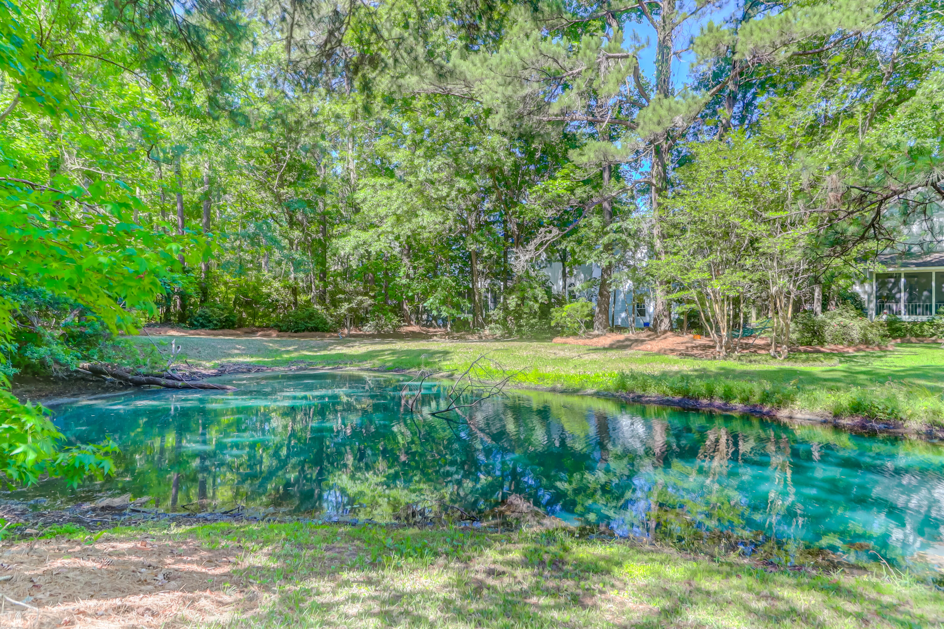 2761 Merwether Lane Mount Pleasant, SC 29466 - Photo 32 of 33 Pond view
