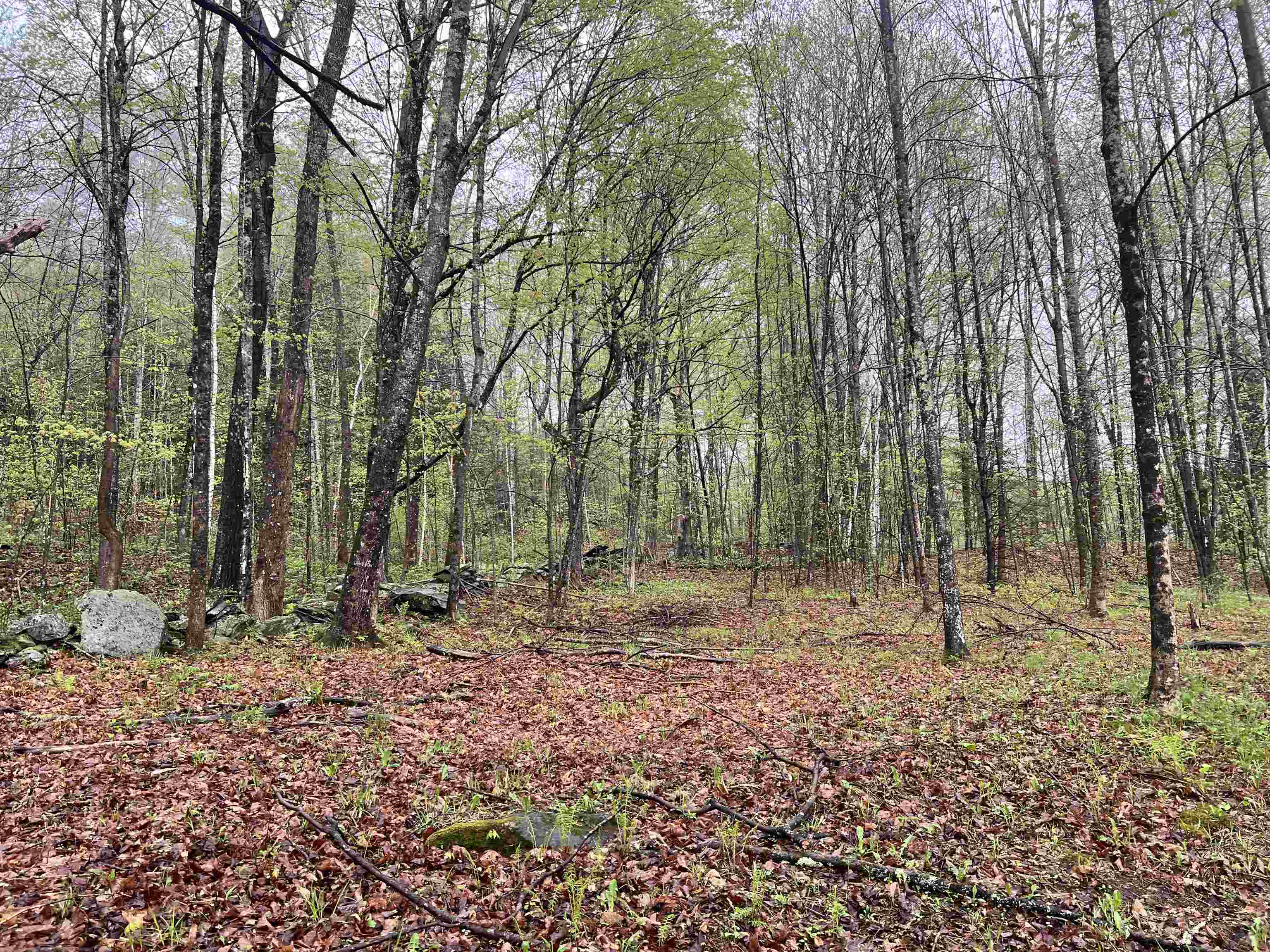 1084 Rush Meadow Road West Windsor, VT 05037 - Photo 50 of 59