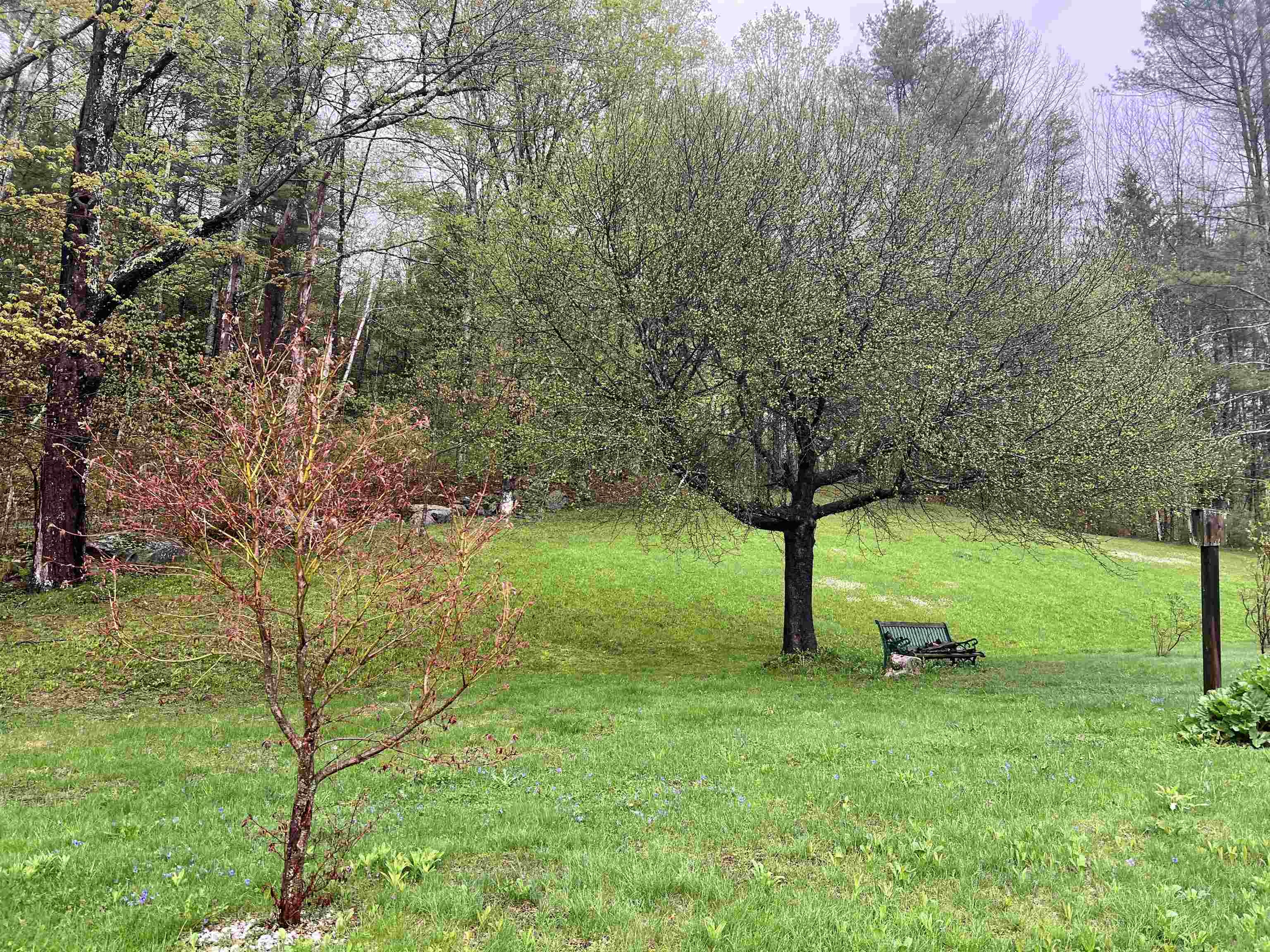 1084 Rush Meadow Road West Windsor, VT 05037 - Photo 51 of 59