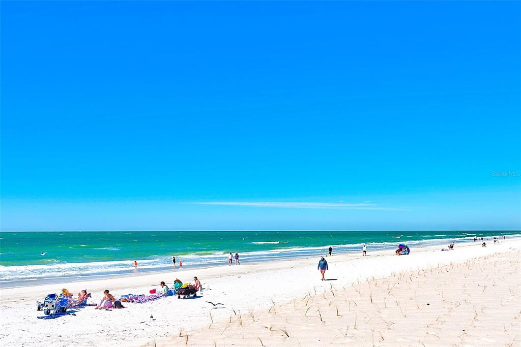 12300 Vonn Road, Unit 2204 Largo, FL 33774 - Photo 54 of 61