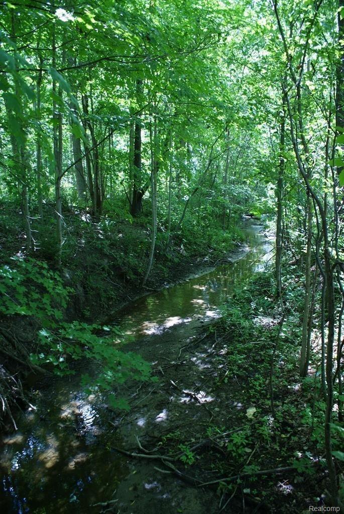 4465 Mitchell Road Metamora, MI 48455 - Photo 82 of 85 Winding stream through wood lot