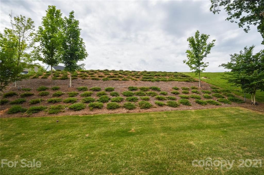 1014 Emory Lane Fort Mill, SC 29708 - Photo 22 of 23 a view of a yard with an trees