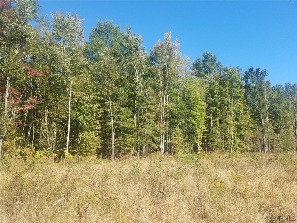 5745 Byrd Mill Road Louisa, VA 23093 - Photo 1 of 7 Gallery Image 1