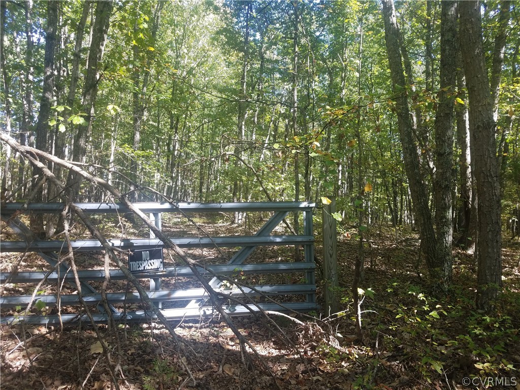 5745 Byrd Mill Road Louisa, VA 23093 - Photo 2 of 7 Gallery Image 2