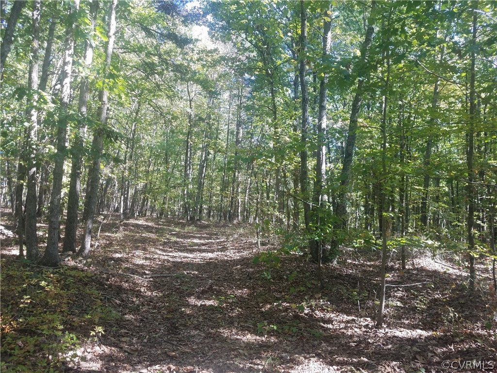 5745 Byrd Mill Road Louisa, VA 23093 - Photo 3 of 7 Gallery Image 3