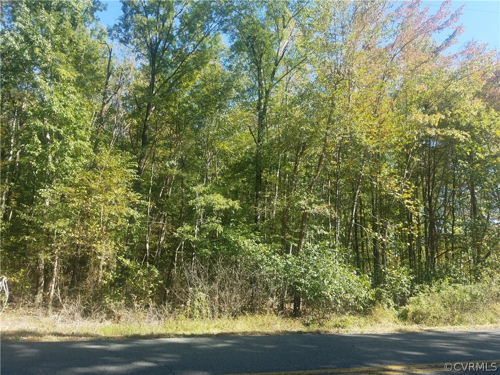 5745 Byrd Mill Road Louisa, VA 23093 - Photo 6 of 7 Gallery Image 6