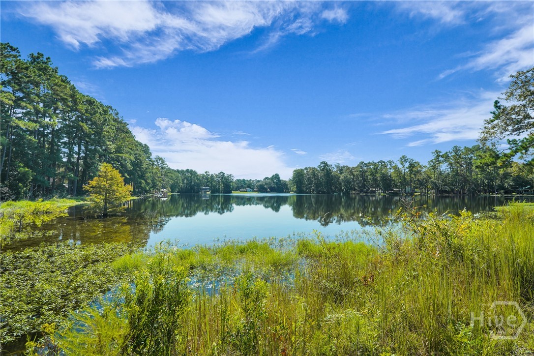 181 Pineland Road Midway, GA 31320 - Photo 26 of 27