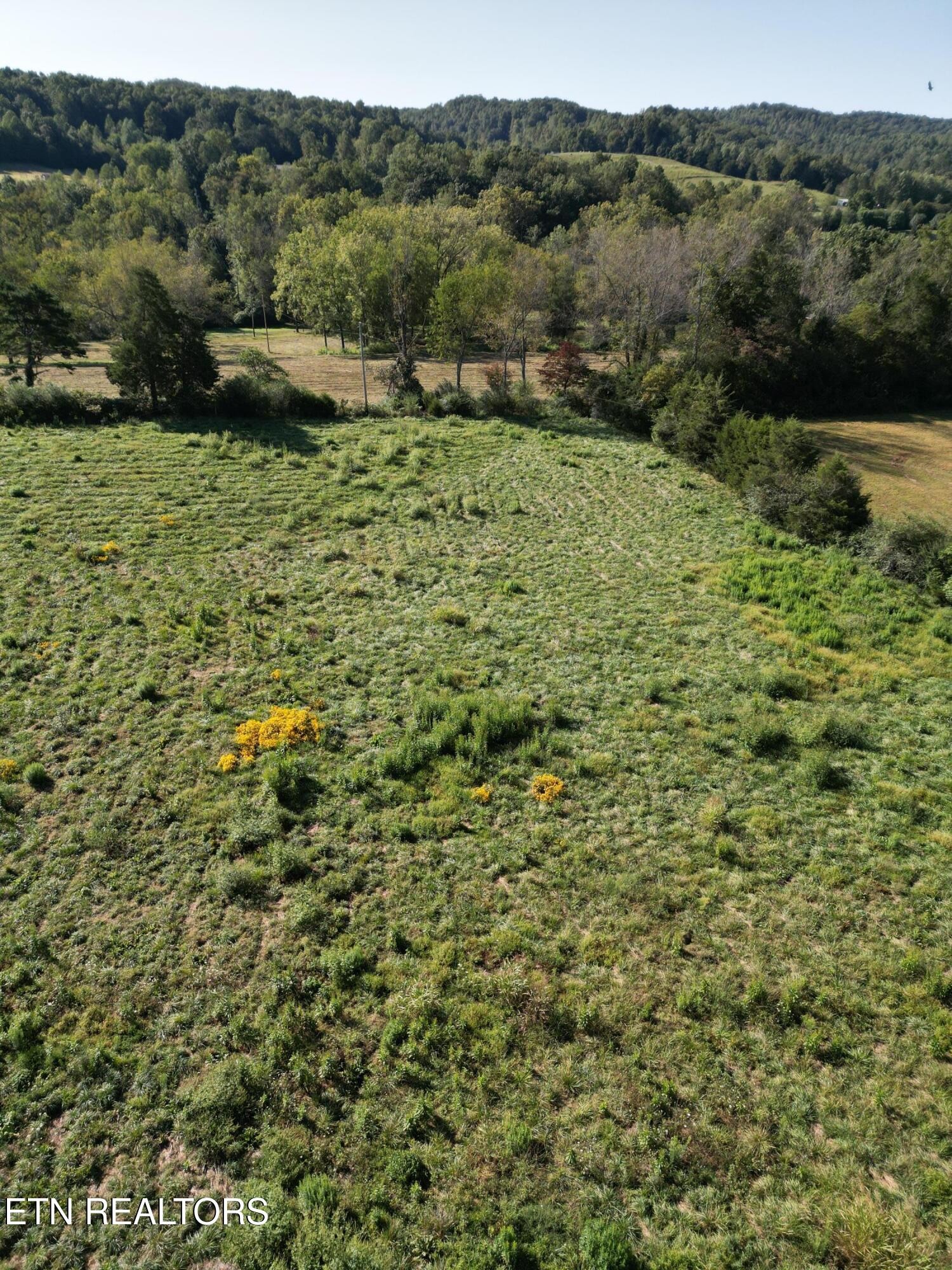 317 Singleton Hollow Road Speedwell, TN 37870 - Photo 11 of 16 a view of a garden with a lake