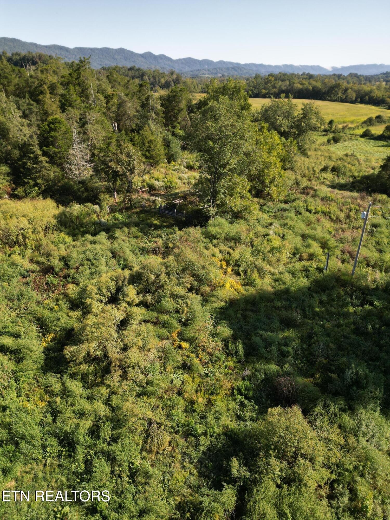 317 Singleton Hollow Road Speedwell, TN 37870 - Photo 13 of 16 a view of lake and green space