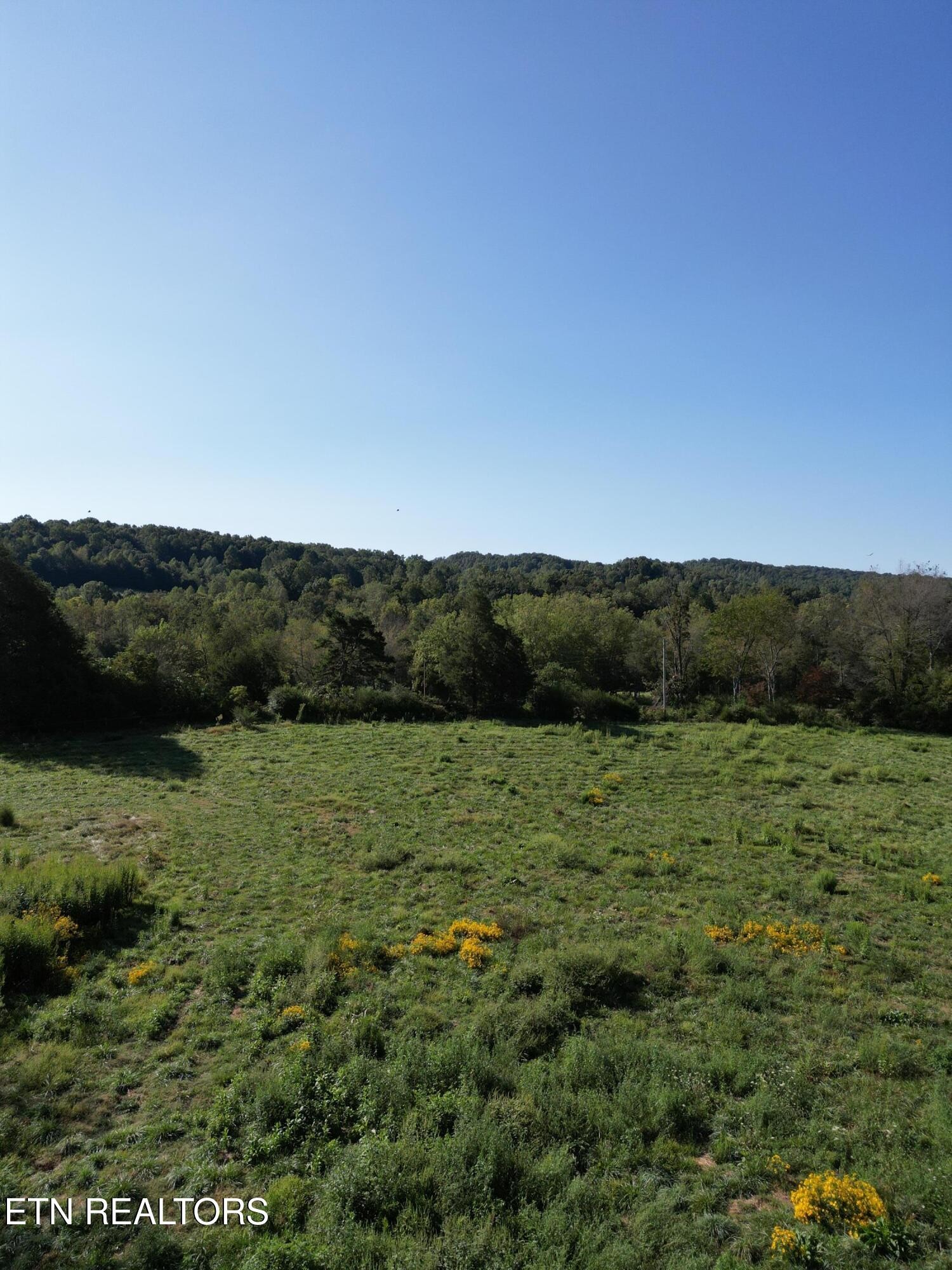 317 Singleton Hollow Road Speedwell, TN 37870 - Photo 16 of 16 a view of a field with an trees