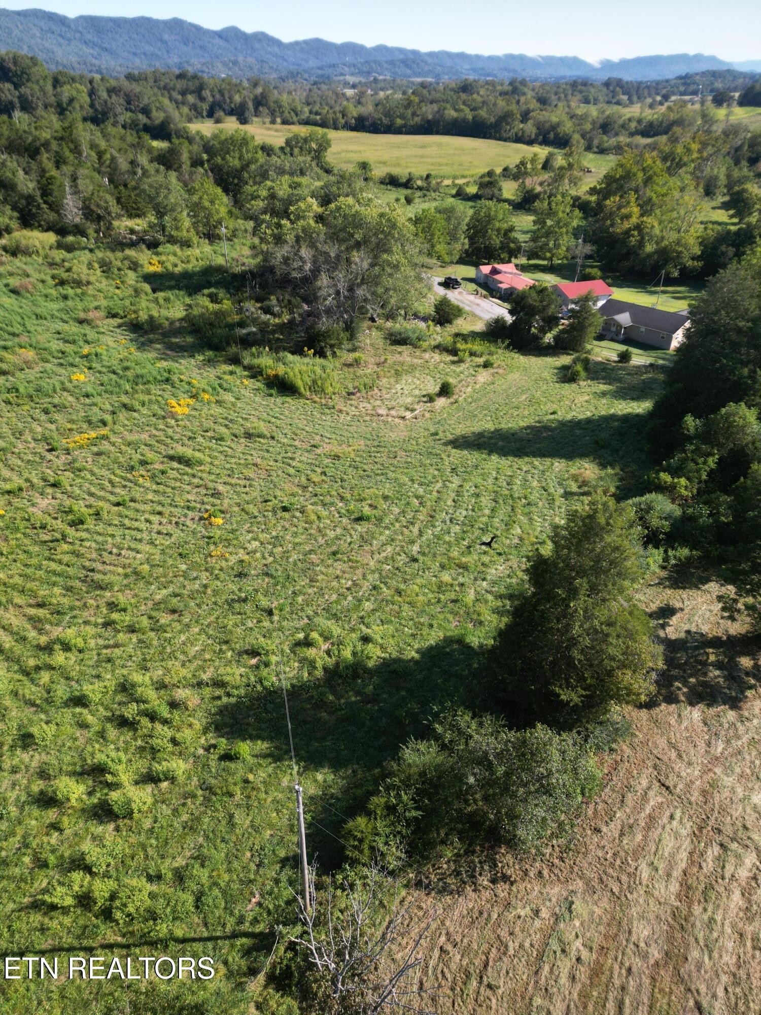 317 Singleton Hollow Road Speedwell, TN 37870 - Photo 4 of 16 a view of a lake with a mountain in the background