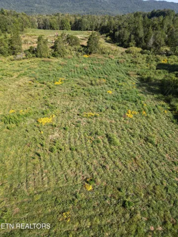 a view of a lake view
