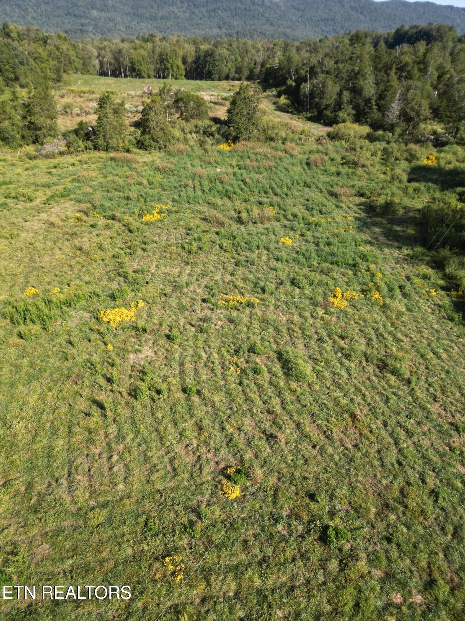 317 Singleton Hollow Road Speedwell, TN 37870 - Photo 6 of 16 a view of a lake view