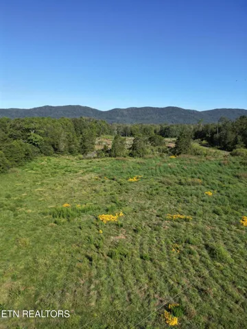 a view of an outdoor space with a lake view