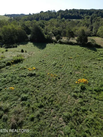 a view of a green field with lots of bushes