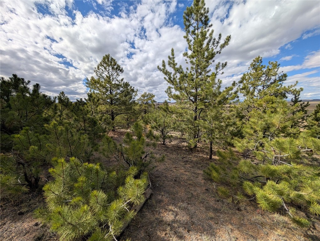 0 Tonkawa Road Hartsel, CO 80449 - Photo 3 of 16