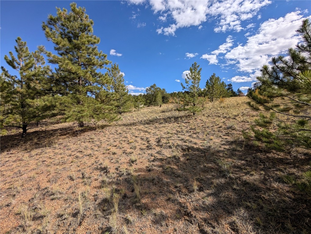 0 Tonkawa Road Hartsel, CO 80449 - Photo 4 of 16