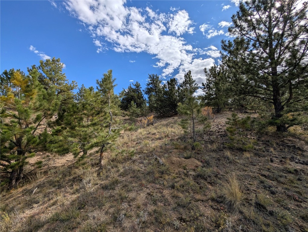 0 Tonkawa Road Hartsel, CO 80449 - Photo 8 of 16