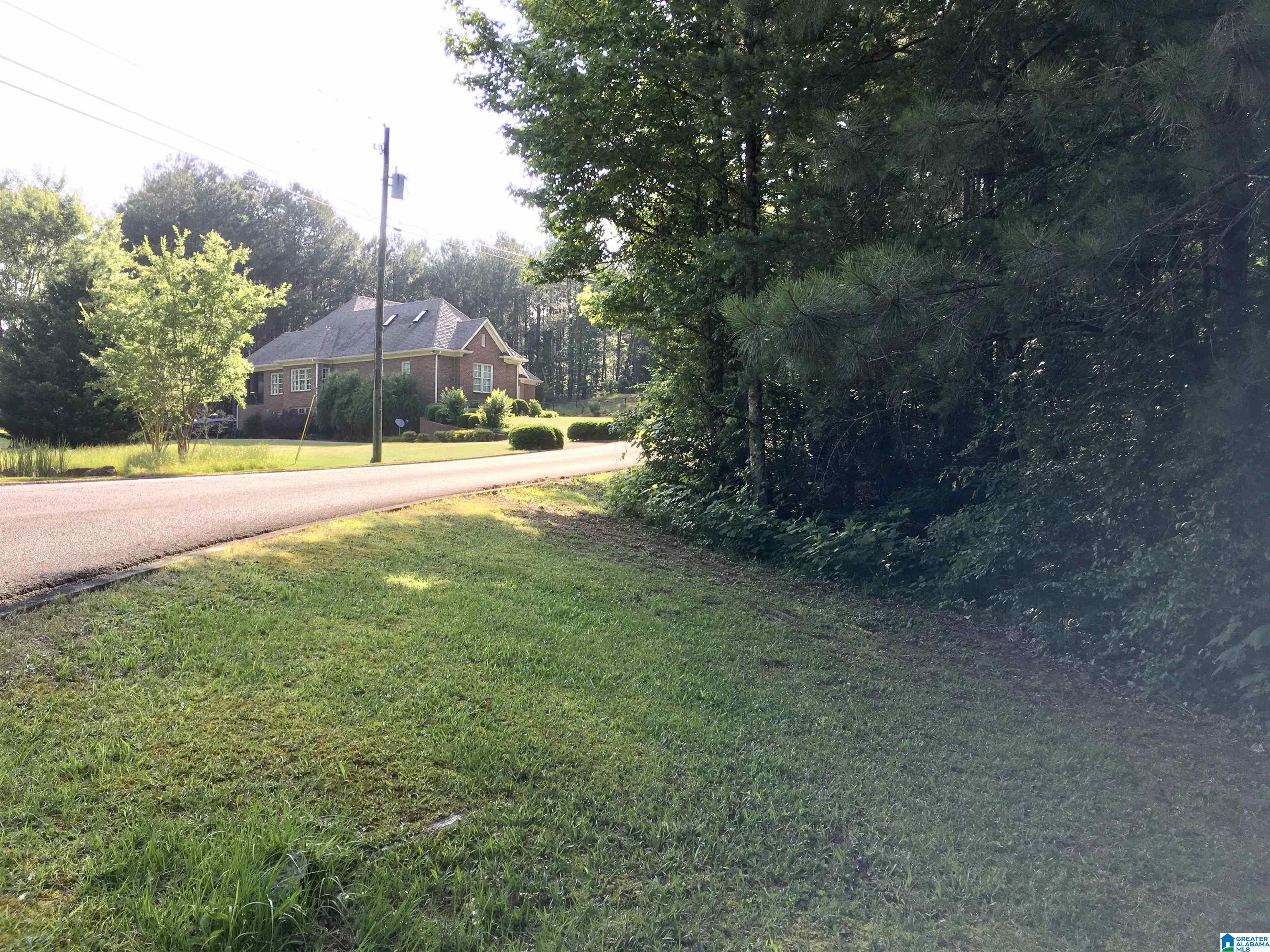 0 Quail Ridge Road, Unit 1 Oneonta, AL 35121 - Photo 11 of 29