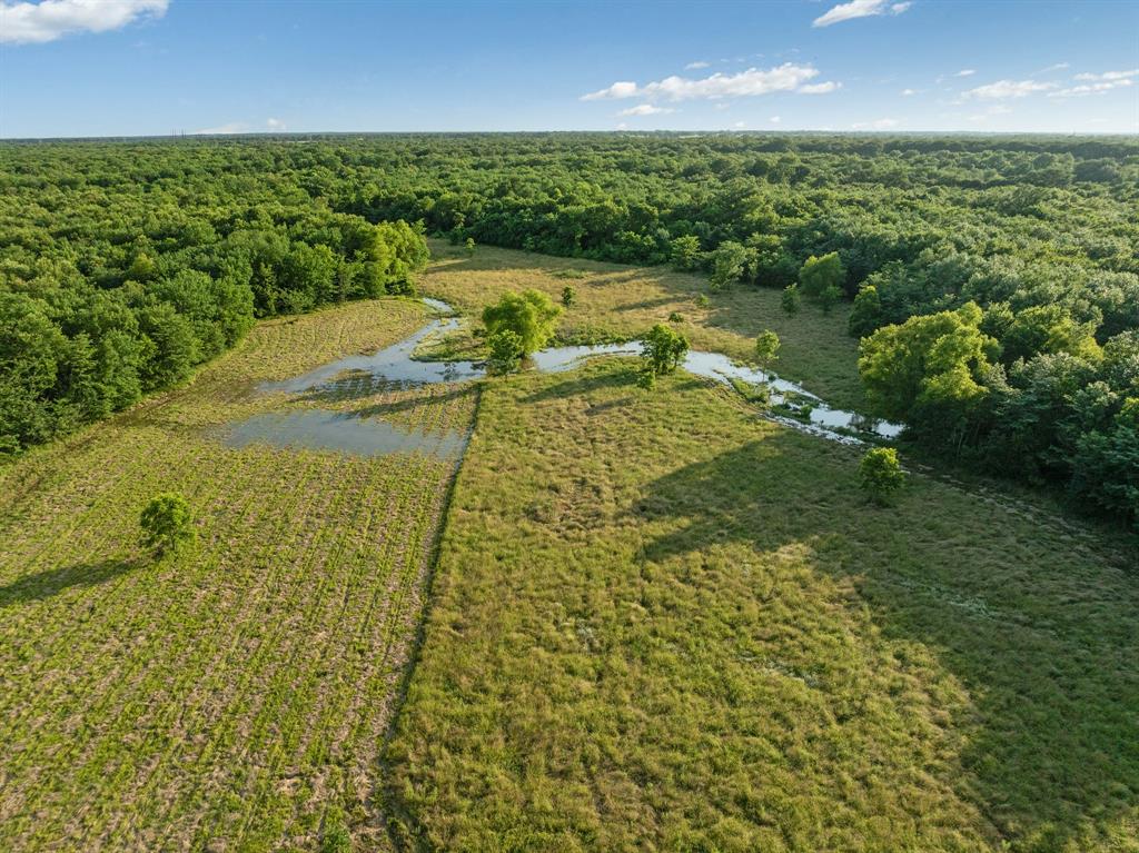 16918 Fr 410 Road Deport, TX 75435 - Photo 9 of 30