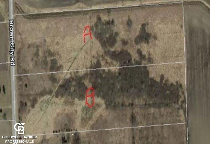 0 Brown City Road Imlay City, MI 48444 - Photo 10 of 10