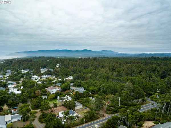 a view of a city with lush green forest