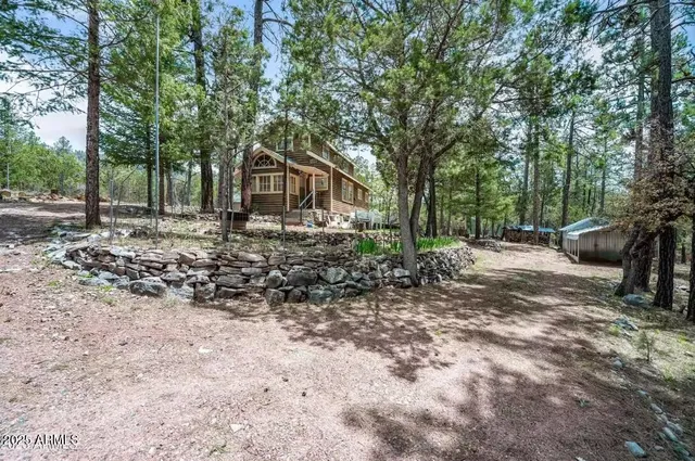 a dirt road with trees in the background