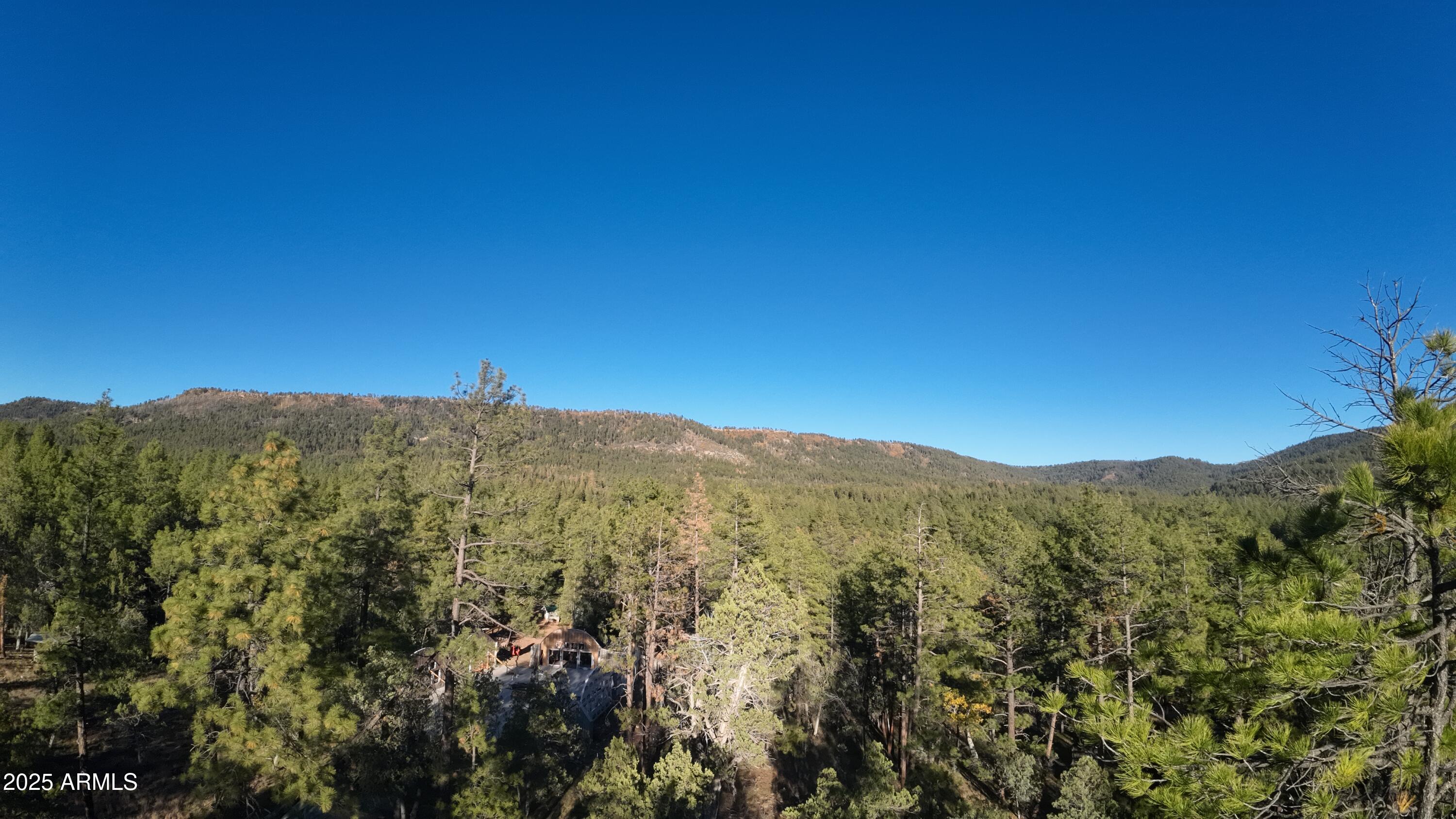 259 South Morris Meadows Payson, AZ 85541 - Photo 19 of 33 a view of a mountain range with lush green forest