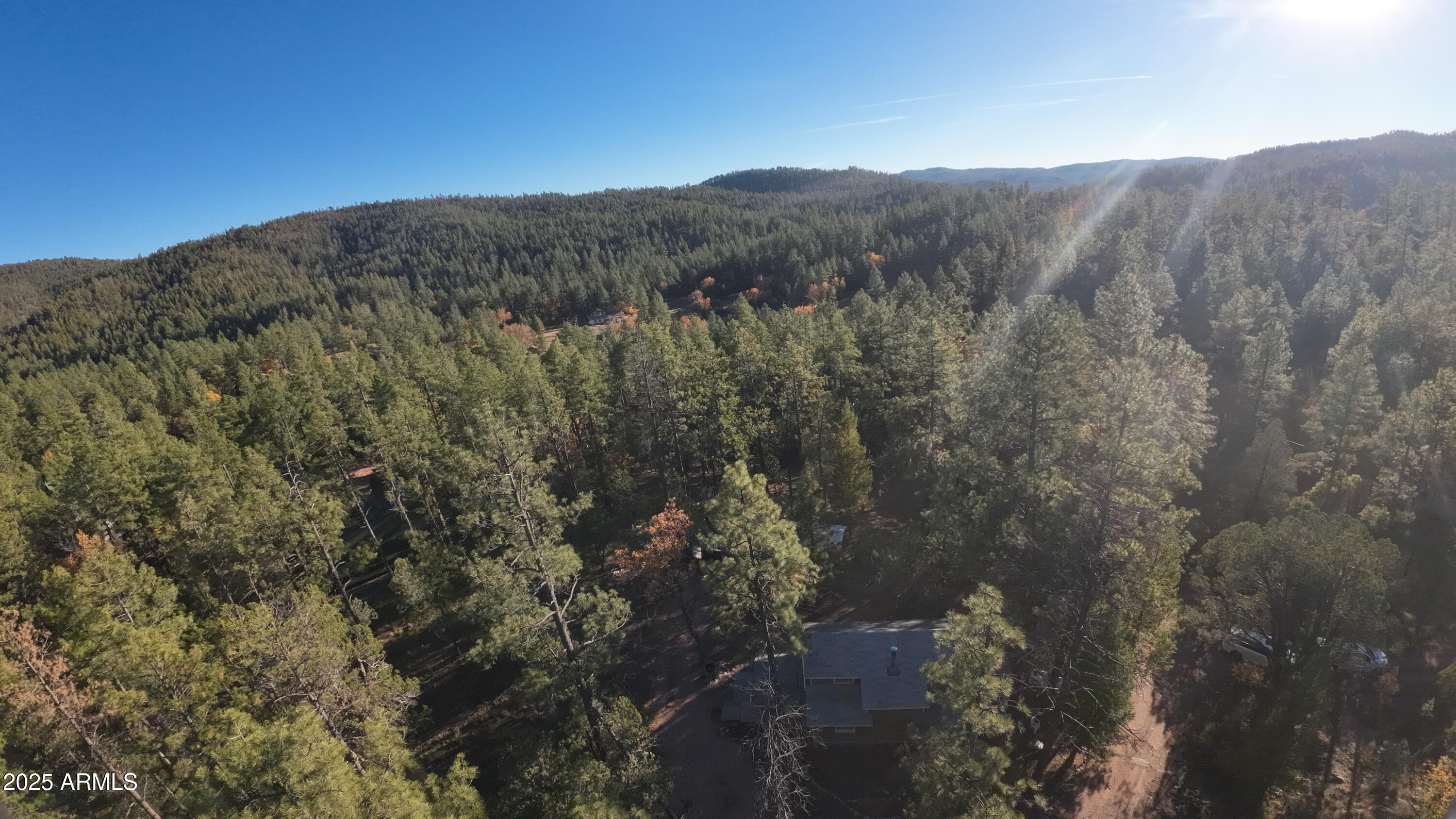 259 South Morris Meadows Payson, AZ 85541 - Photo 24 of 33 a view of a forest with a mountain in the background