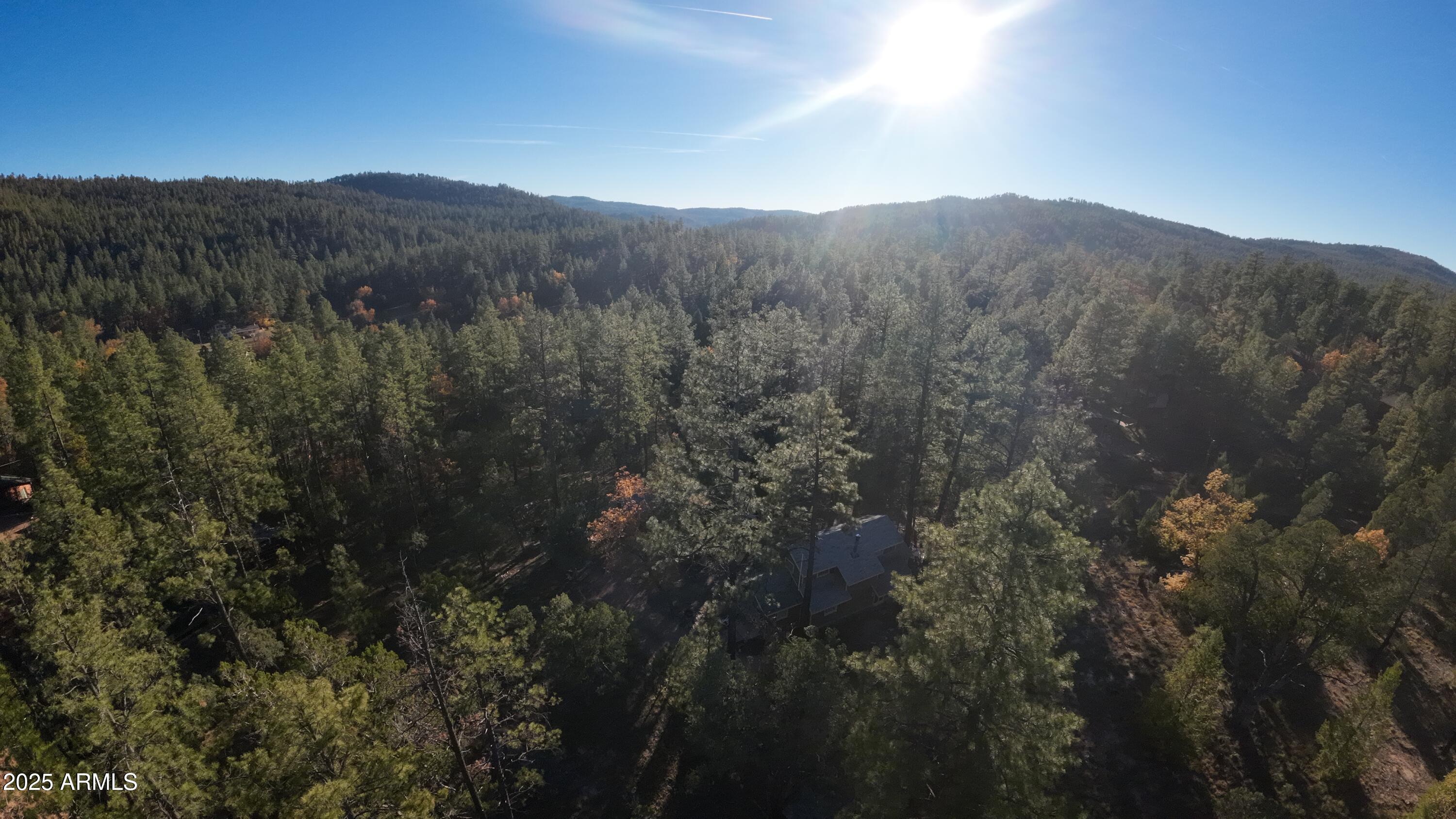 259 South Morris Meadows Payson, AZ 85541 - Photo 25 of 33 a view of a top of mountains