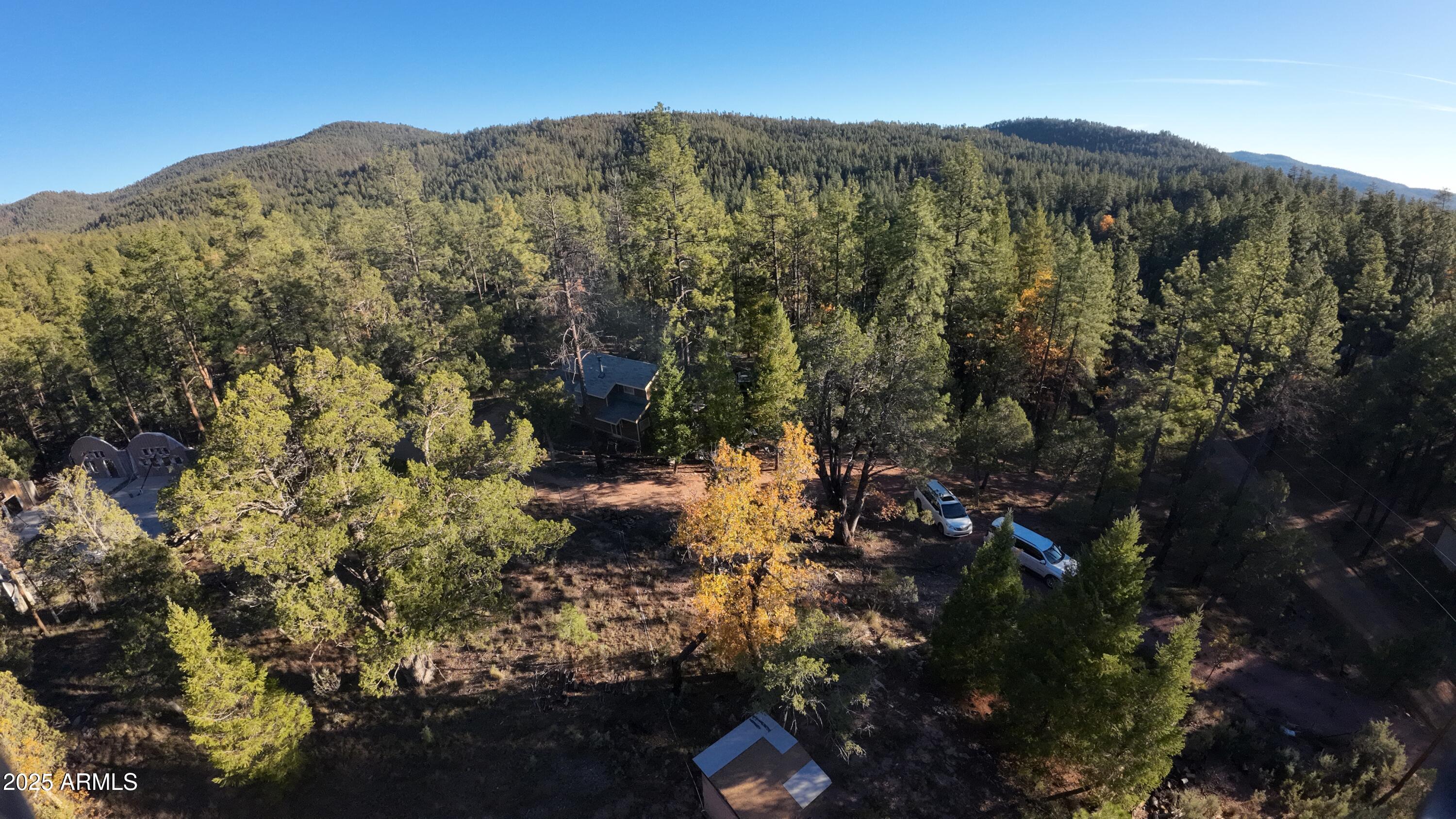 259 South Morris Meadows Payson, AZ 85541 - Photo 28 of 33 a view of a forest with mountains in the background