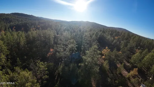 a view of a dry yard