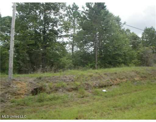 549 Barth Road Poplarville, MS 39470 - Photo 3 of 5 barth3