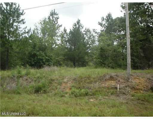 549 Barth Road Poplarville, MS 39470 - Photo 5 of 5 barth5