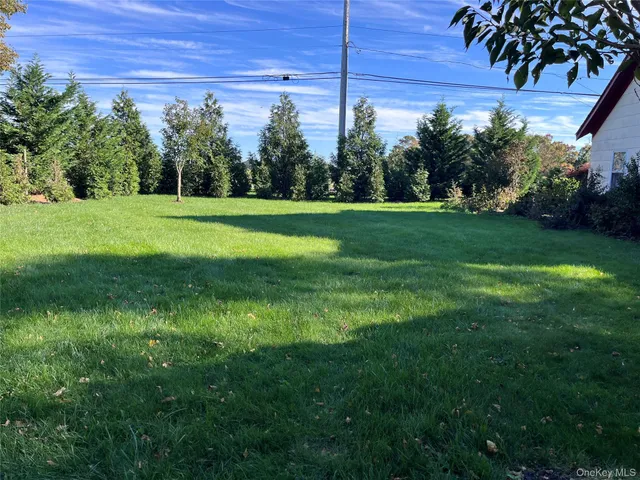 a view of a yard with a fountain