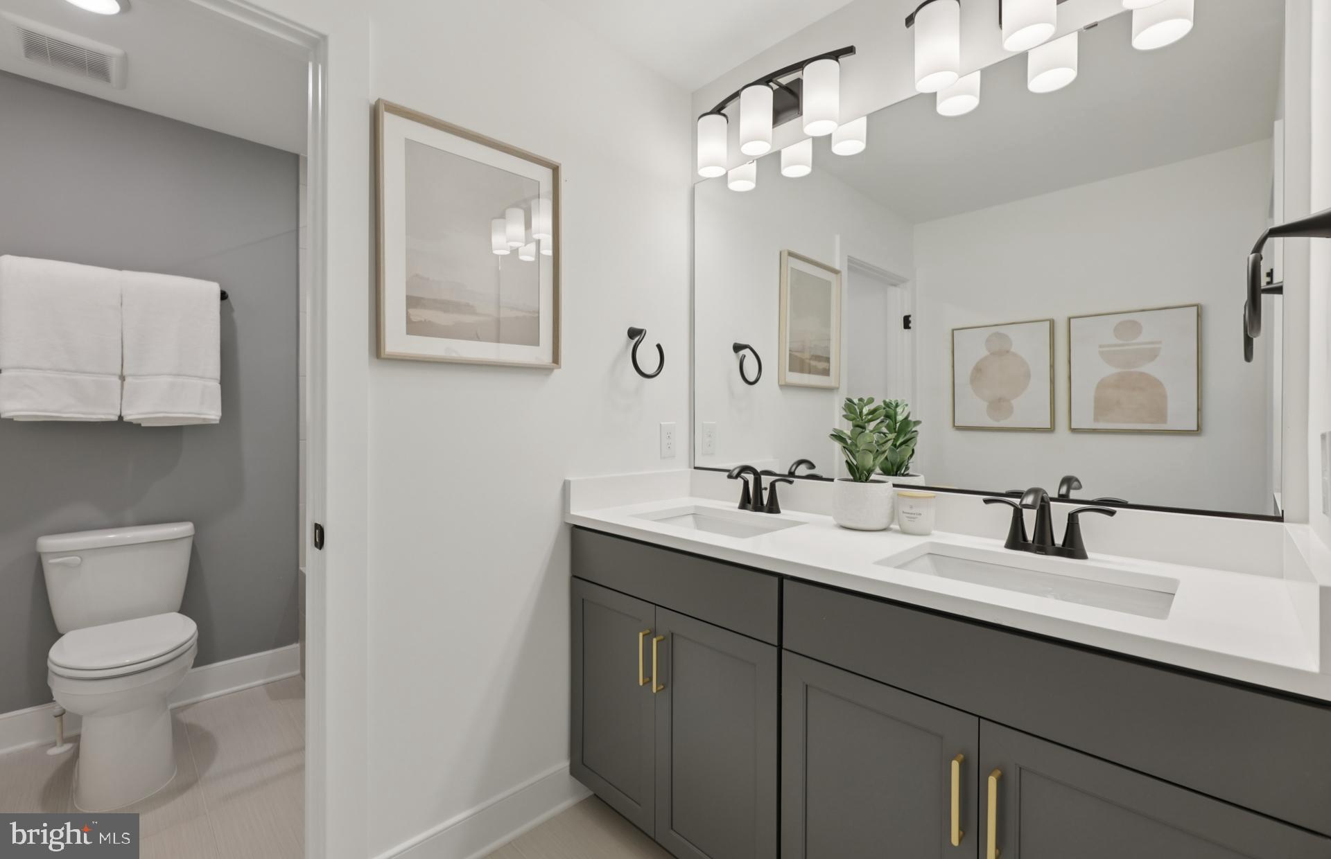 6152 Amber Lane, Unit 2 Haymarket, VA 20169 - Photo 27 of 57 a bathroom with a toilet a sink and mirror
