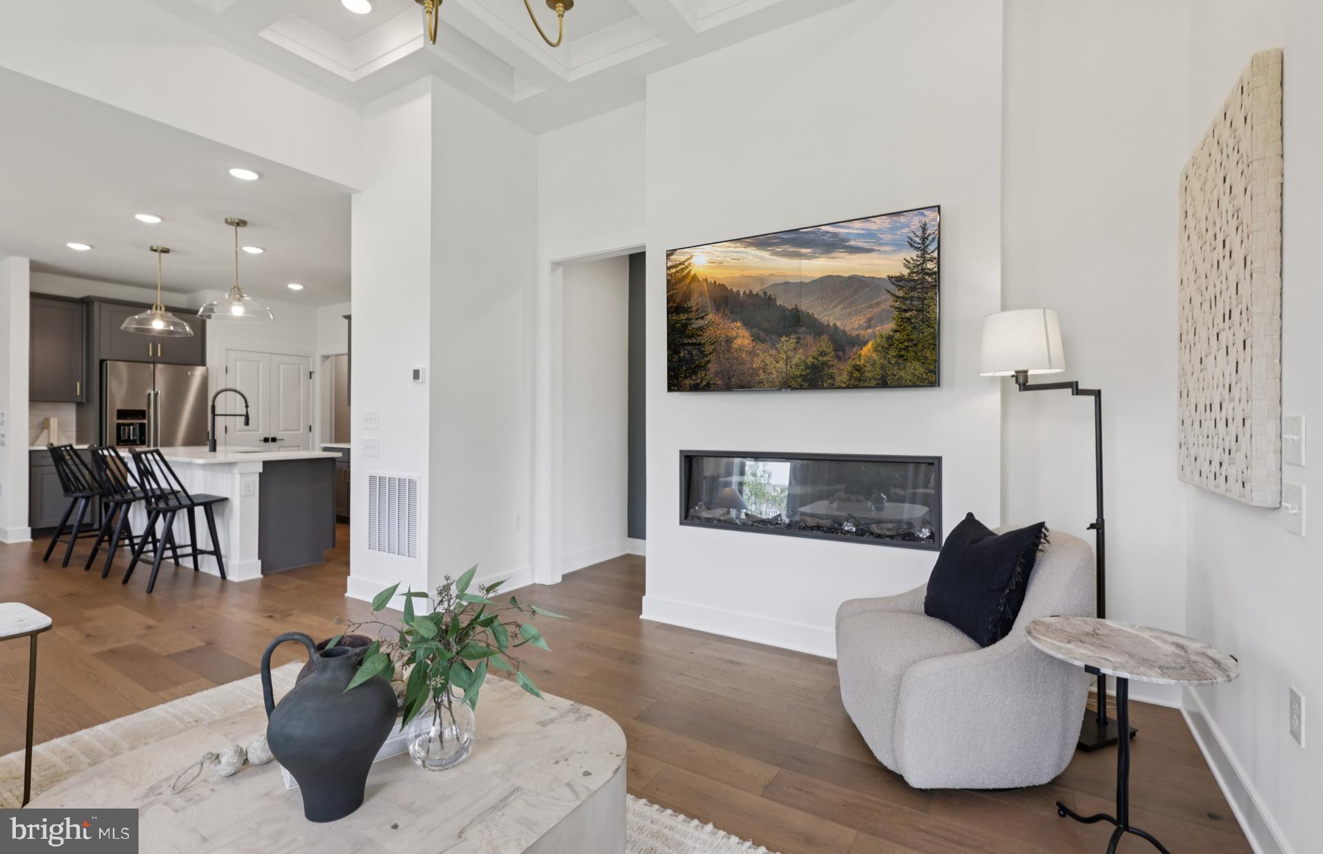 6152 Amber Lane, Unit 2 Haymarket, VA 20169 - Photo 7 of 57 a living room with furniture and a fireplace