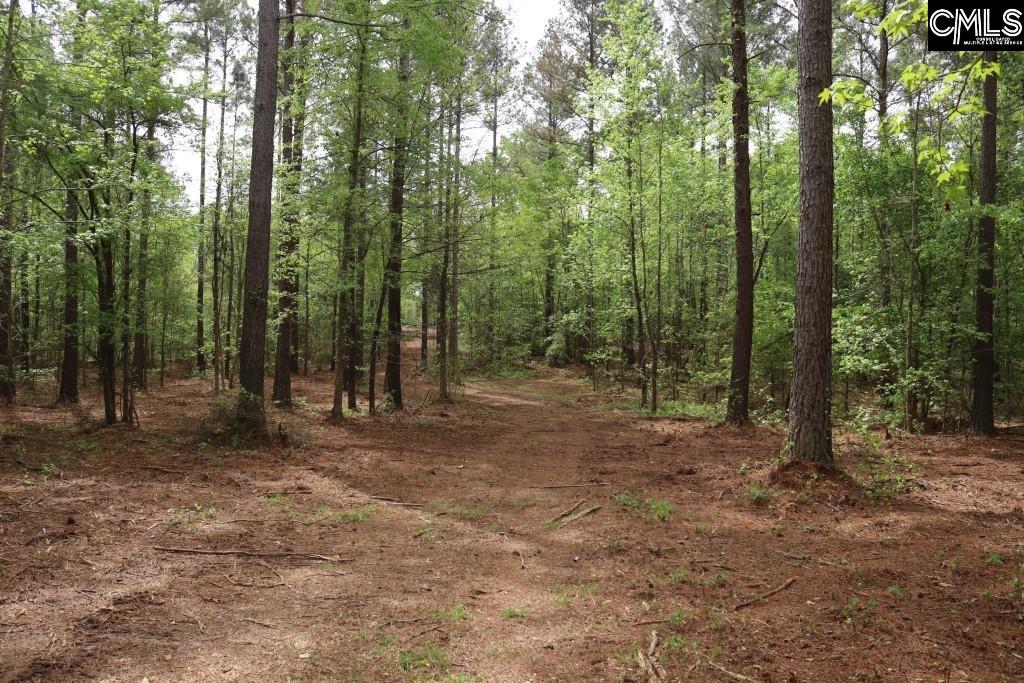 Beulah Road Leesville, SC 29070 - Photo 13 of 19