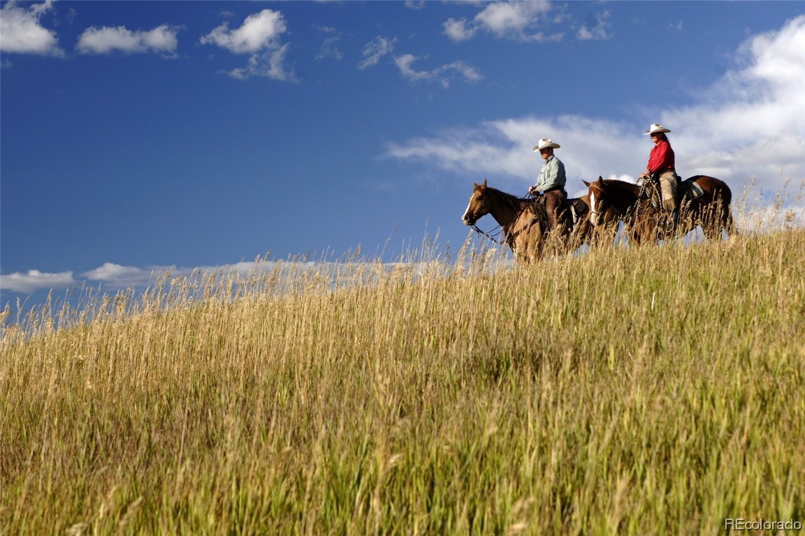 41700 Marabou Loop Steamboat Springs, CO 80487 - Photo 23 of 28 a view of group of people